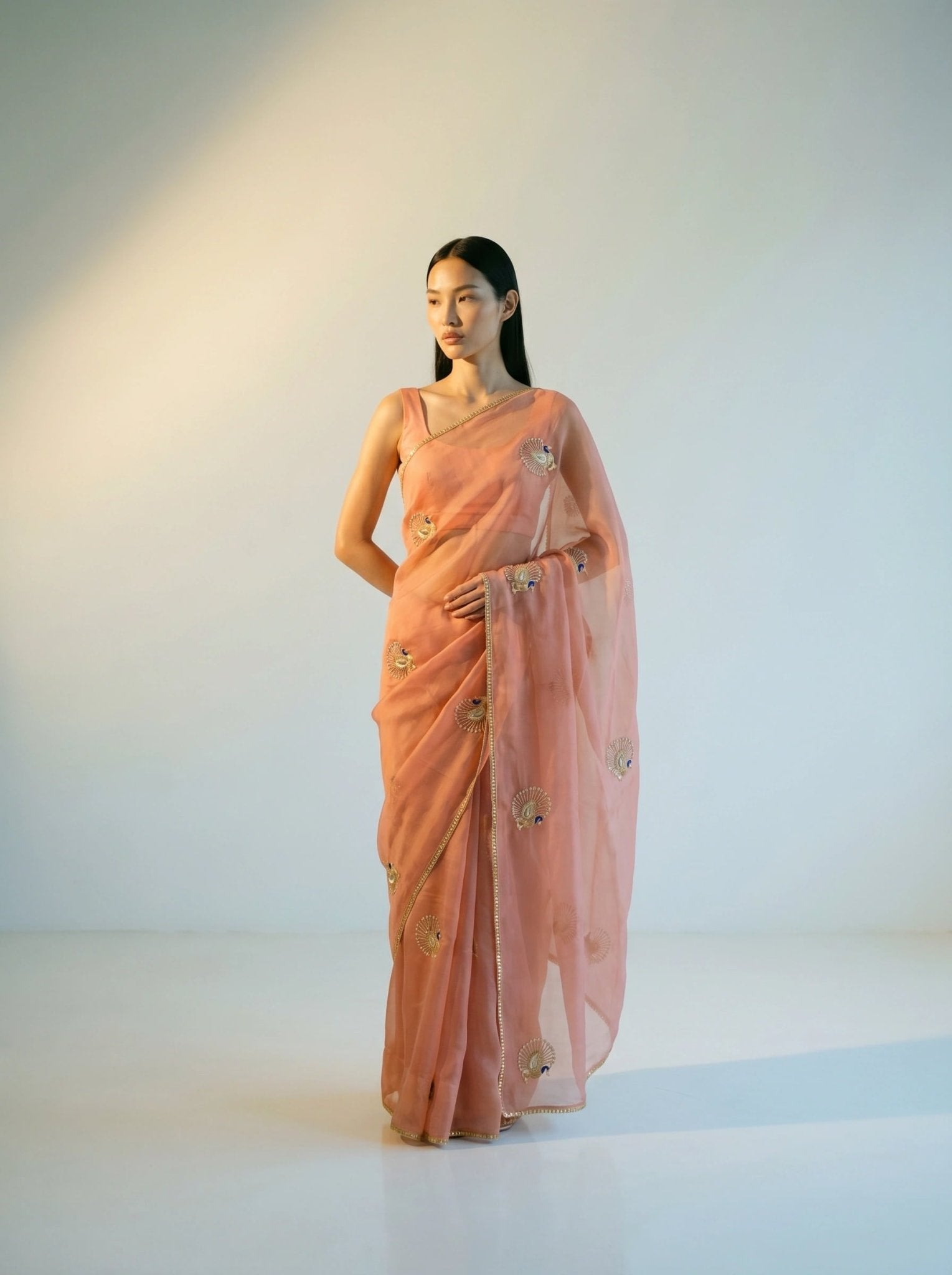 Peach Kalapi Organza Saree - Arsh